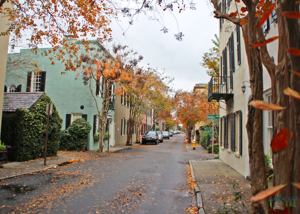 colores del otoño: Charleston